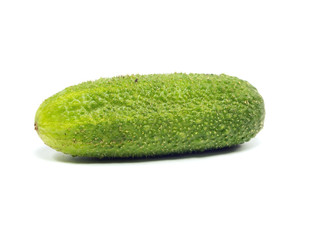 fresh organic cucumber