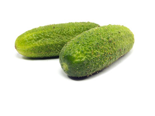 fresh organic cucumber