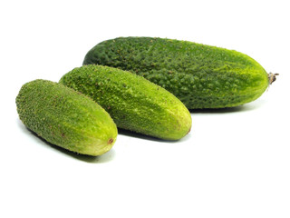 fresh organic cucumber