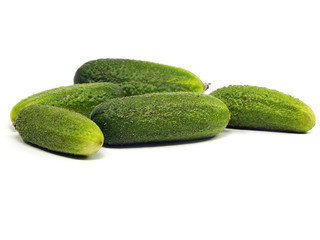 fresh organic cucumber