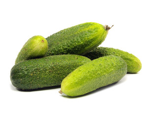 fresh organic cucumber