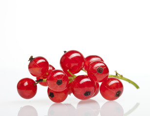 Rote Johannisbeeren 