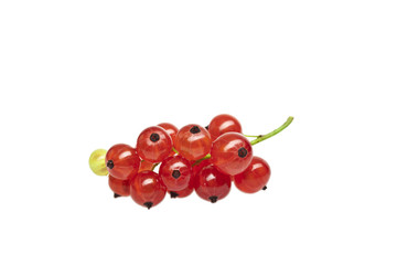 Rote Johannisbeeren 