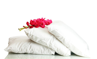 Obraz na płótnie Canvas poduszki i kwiaty, samodzielnie na białym tle