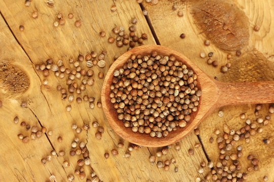 Heap coriander seeds in wooden spoon