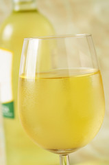 Glass and bottle of fine italian white wine, closeup