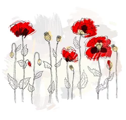 Papier Peint photo Fleurs abstraites Coquelicots rouges sur fond blanc