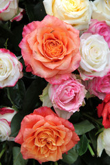 Multicolored rose bouquet