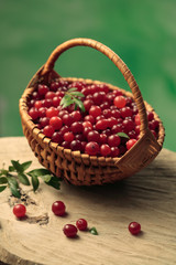 Basket of cranberries on wooden background