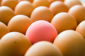 One pink egg