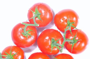 Tomato.