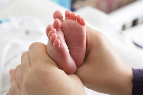 Baby feet in mommy's hands
