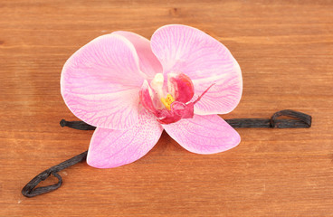 Vanilla pods with flower on wooden background