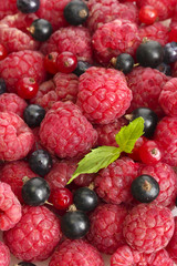 ripe berries with mint, close up.