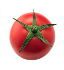 One red tomato isolated on one background