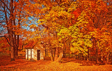 Obraz na płótnie Canvas Small house in the forest in autumn