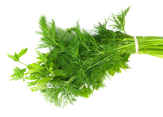 Dill and parsley isolated on a white background
