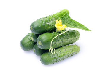 Fresh green cucumbers