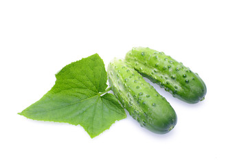 Fresh green cucumbers