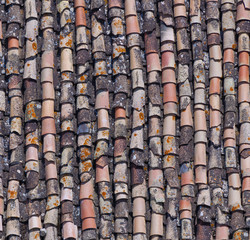 roof tile