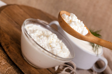 Fototapeta na wymiar cottage cheese in a plate and a spoon with cottage cheese