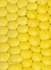 corn . macro