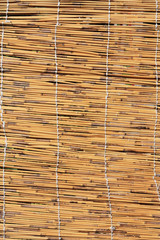 Cane texture
