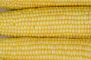 Молодая сахарная кукуруза в початках.