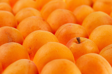 apricots background, full frame, shallow DOF