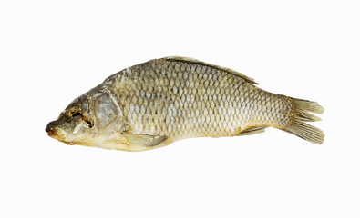 dried fish isolated on white background
