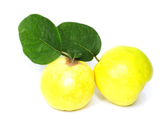 Quince on a white background
