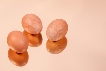 Eier 8