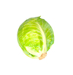 ripe cabbage isolated on white