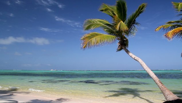 Caribbean paradise, footage