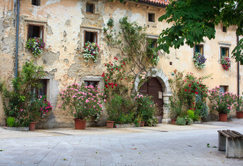 Fototapeta na wymiar Flowers pots in the facade house