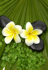 Fototapeta na wymiar frangipanis and zen stones with green bath salts on leaf