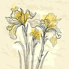 Fototapete Abstrakte Blumen Iris-Blumen-Vektor-Illustration.