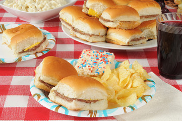Picnic food