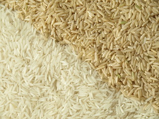 Rice seeds, background