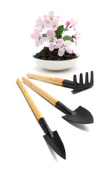 Peach blossom and garden tools