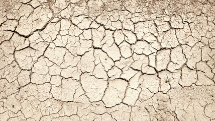 Cracked ground