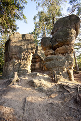 Radkowskie Skały - Baszty © Jan