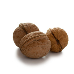 Walnuts isolated with clipping path on white background