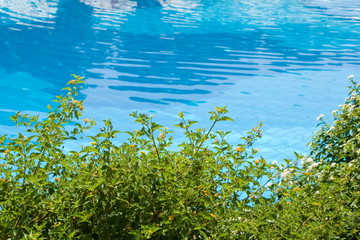 Fototapeta na wymiar Szczegół z basenem