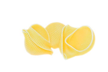 pasta shells