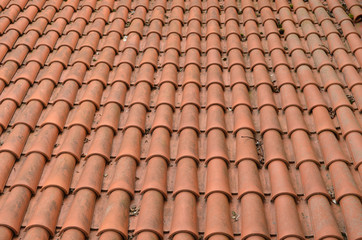 Background of clay round tiles covered roof