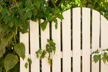 Садовая оградка