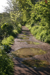 Fototapeta premium Footpath with big puddles