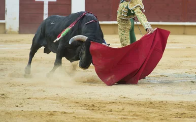 Foto op Plexiglas Torero citando al toro con estilo. © Angel Simon