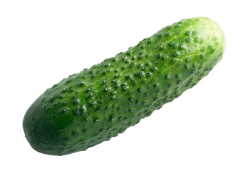 Cucumber